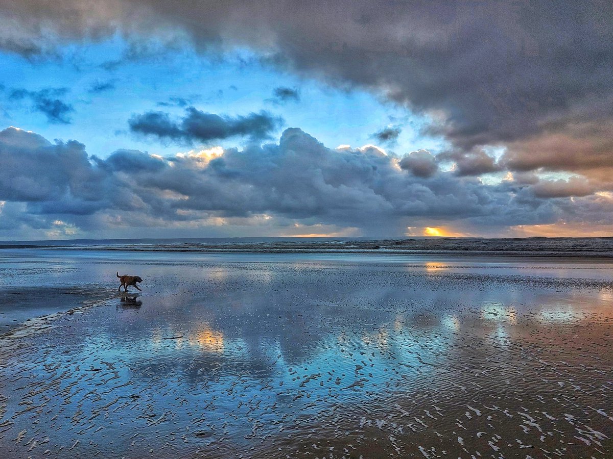 seagerworld's tweet photo. Today's walkies at Croyde .... reminded me I'm alive.
#croyde #devonhome #northdevon #transit #onthemove #blacklabradors #walkies #t4 #t4adventures #photographicart https://t.co/w3PrmJQJ7E