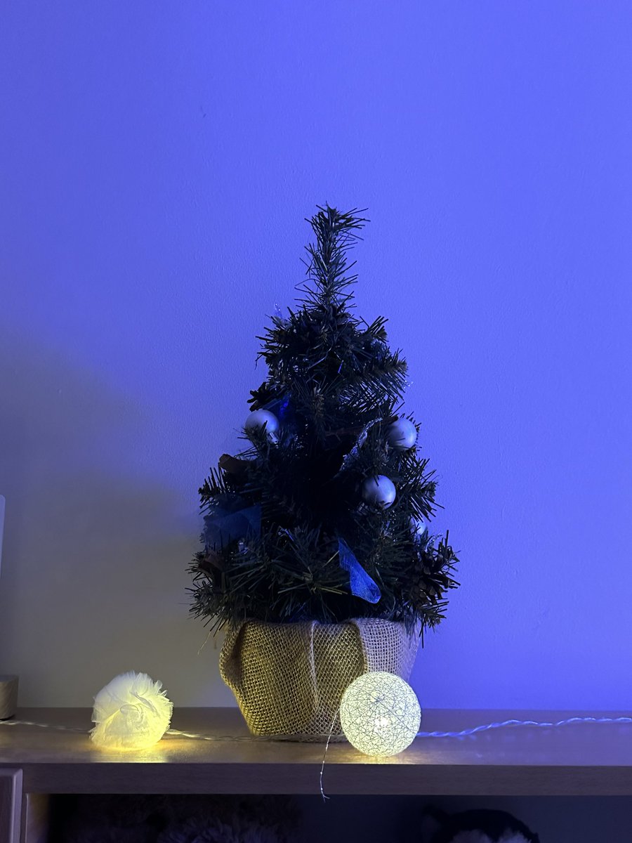 travisfera's tweet photo. klimacik 🤍🎄❄️ https://t.co/0fINvLBg83