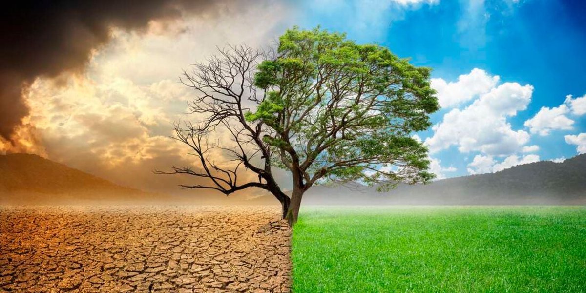 Fact check: Earth’s climate has always changed, but here is why you should care

bit.ly/3UgOFuq