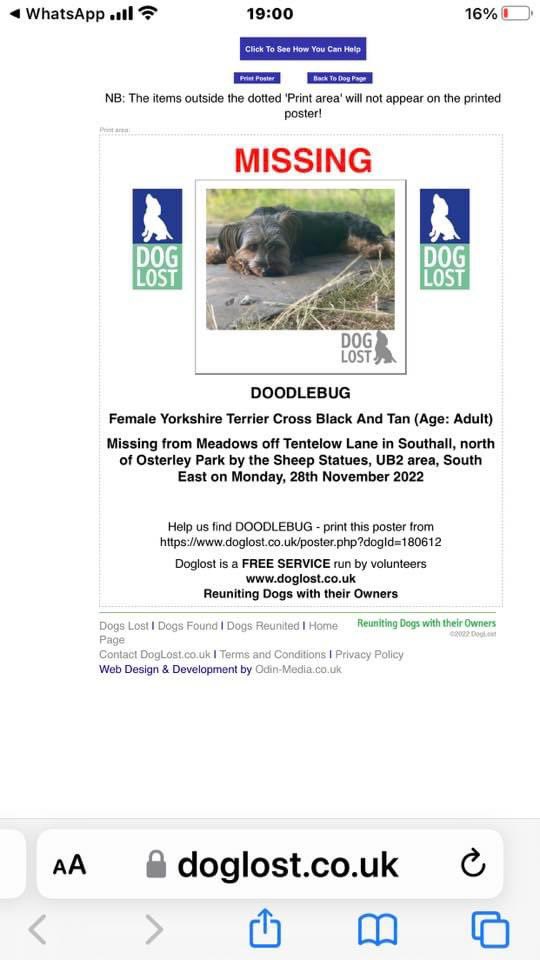 tonymiller_uk's tweet image. Missing Yorkshire Terrier in / around Osterley Park, UB2 area. Please help find Doodlebug. #missingdog