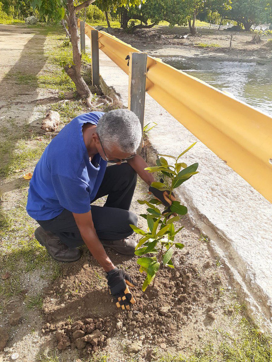 RecursosNaturalesPR on Twitter "Miembros del equipo de trabajo de las regiones de Humacao y San