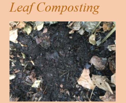 BallymunTT's tweet photo. The DCC Public Domain Team have teamed up with Craig Benton aka “Doctor Compost” to hold a FREE leaf composting workshop this Wed 30th November @ 10.30am – 12pm in Trinity Comprehensive. To book a place, email nwa.publicdomain@dublincity.ie👏😁🌍🍂🍁#brilliantballymun #ballymun https://t.co/nyseikfubQ