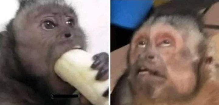 Mi ruca rifándose por el aguinaldo/ Yo sin decirle que me corrieron desde hace un mes del jale