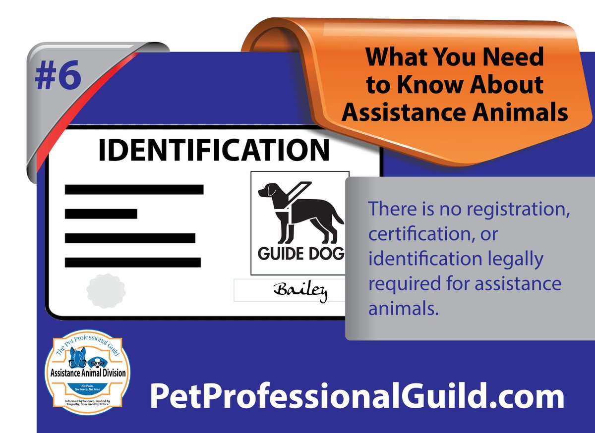 PetGuild's tweet photo. Assistance #animal #trainers &amp; #professional  organizations are encouraged to join PPG for professional &amp; #educational  support, advice, and materials that help promote #forcefree interactions with animals who help people.
https://t.co/TL9Aiy88gb
#assistanceanimals https://t.co/oPUVjQ7xee