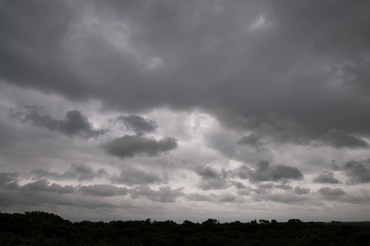 random weather bot tweet media