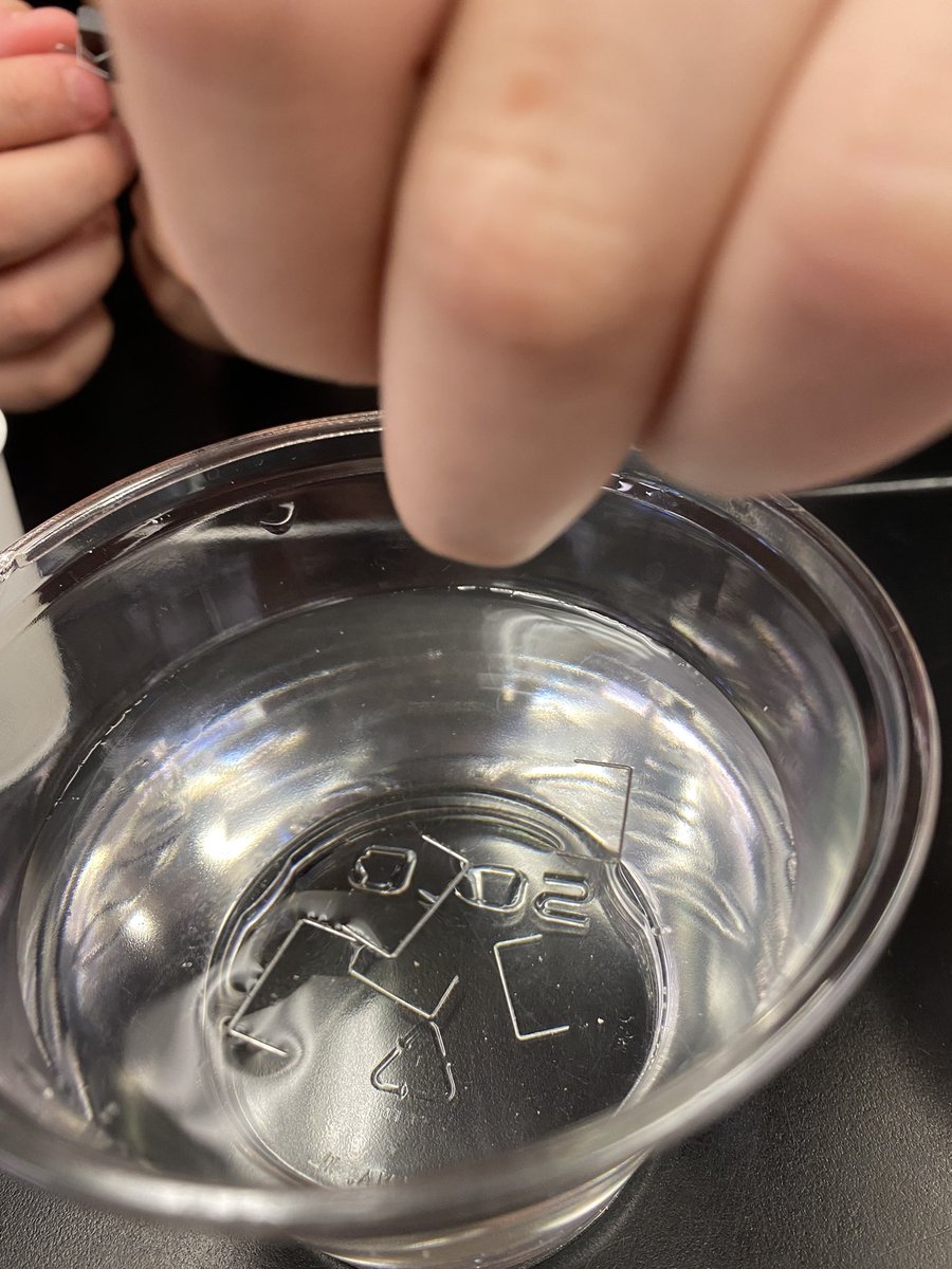 JerryHullTeach's tweet photo. Water molecules are attracted to each other as well as other things!  Sixth graders learn that they can make staples and sometimes paper clips “float” because of surface tension caused by cohesion and adhesion of water molecules.  @TaylorMSTigers @FCPS1Science https://t.co/e84qsytC42