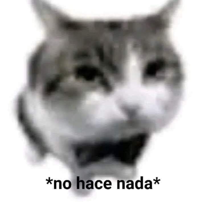 Bardopacotilla's tweet photo. "Voy a ponerme a farmear para X personaje"

Yo dentro de genshin: https://t.co/W1pUEDVNMp