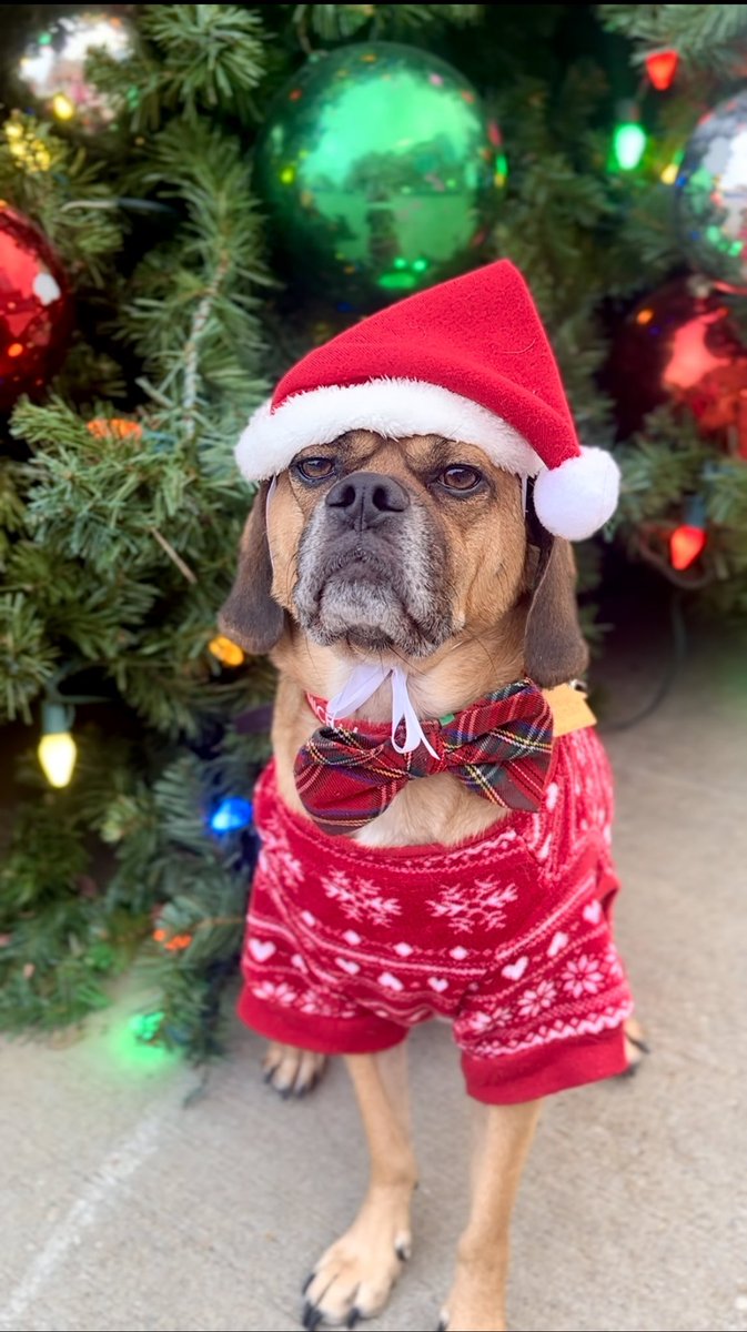 Cpl. Davinci leonardo tweet media