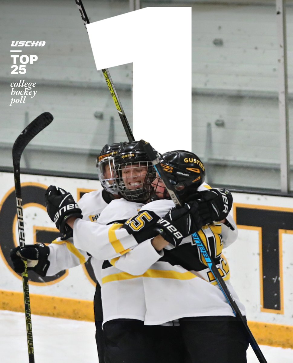 Gustavus Athletics tweet media