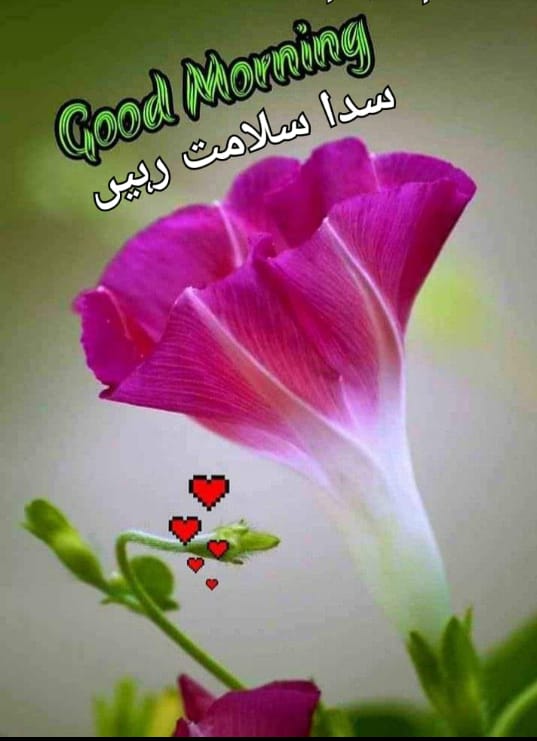 Muhamma77012446's tweet photo. https://t.co/r997EuBlPR
