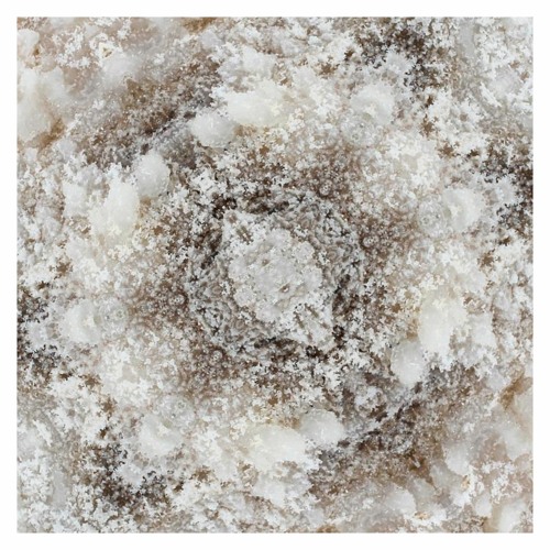 #𝗥𝗞𝗖 tweet media