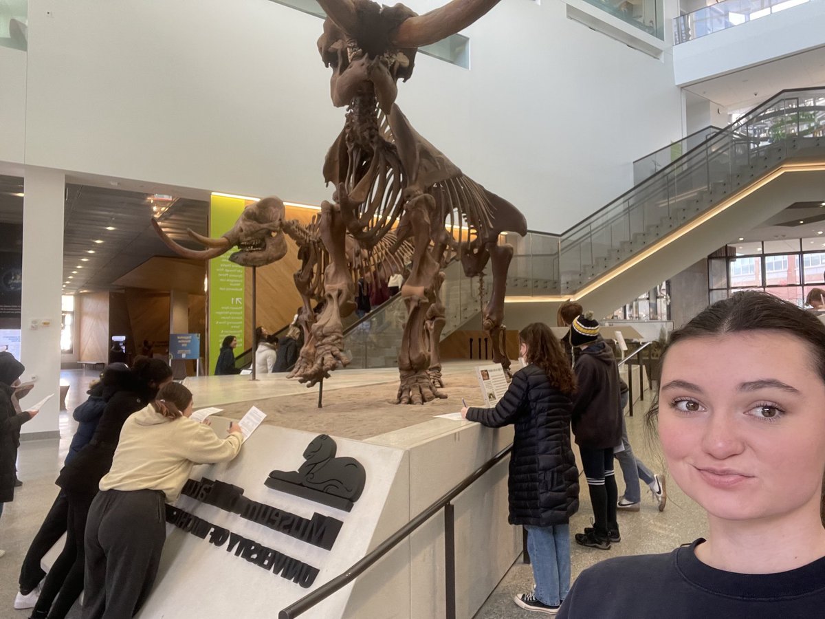 abbyheisler's tweet photo. ⁦@UMMNH⁩ Mastadons !! Both female and male, quite a prime example of sexual dimorphism. https://t.co/dkuxETADUy