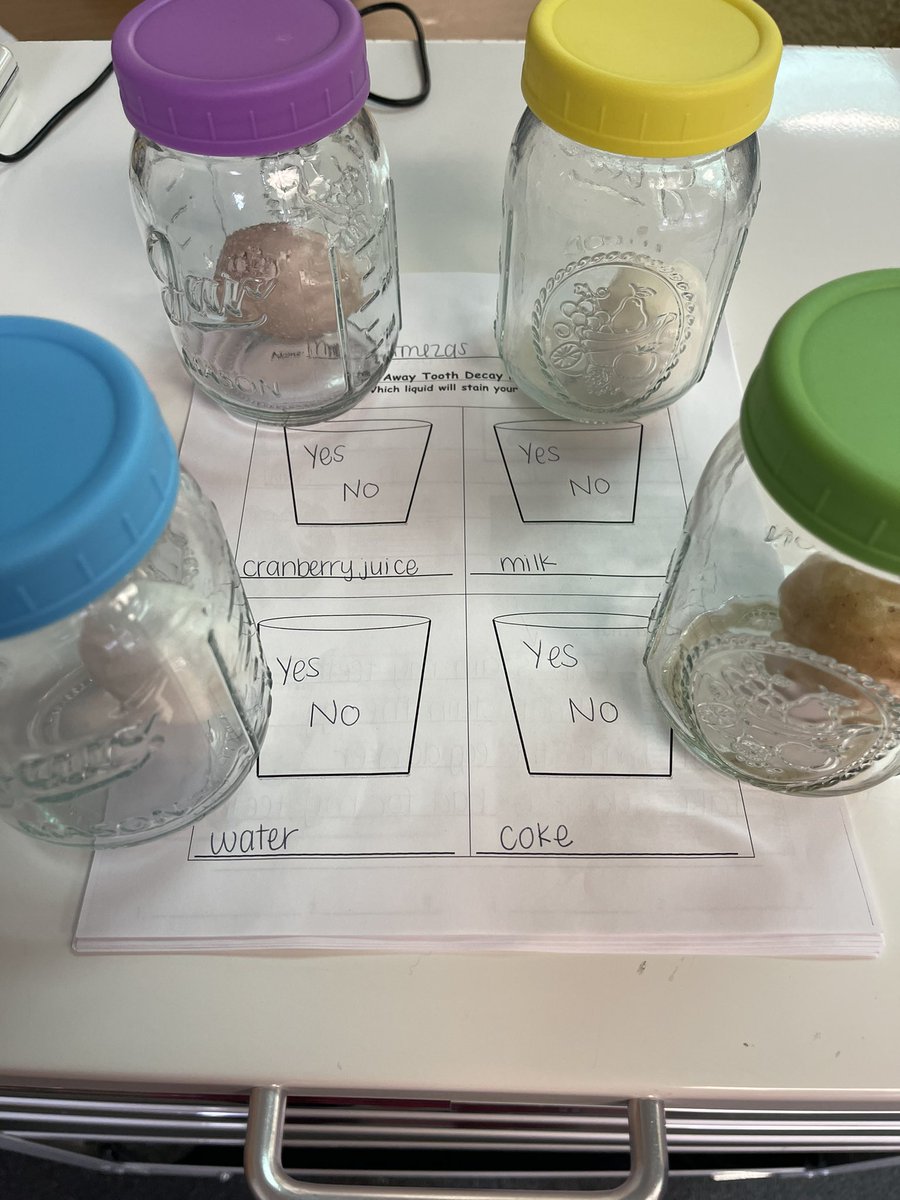 Mrs. Petmezas tweet media