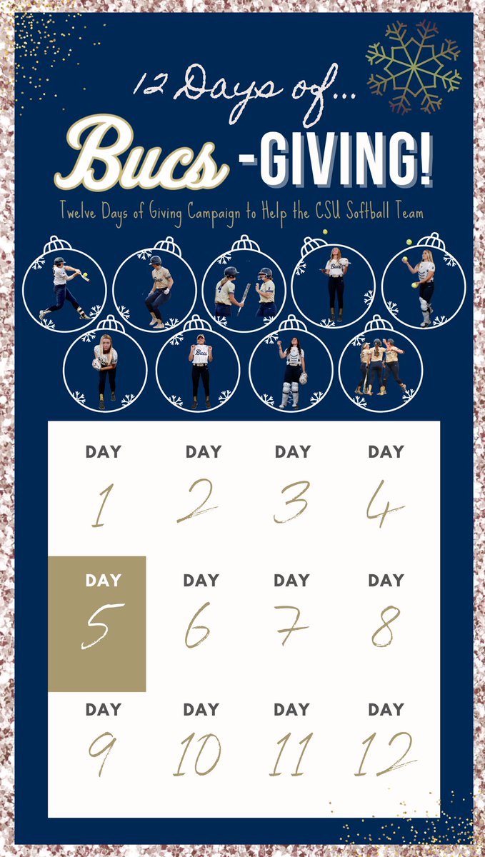 Charleston Southern Softball tweet media