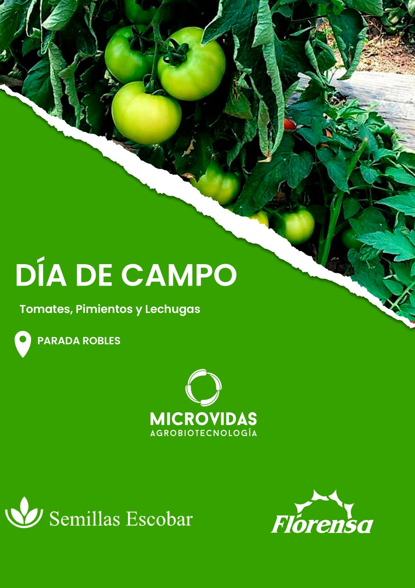 Microvidas tweet media