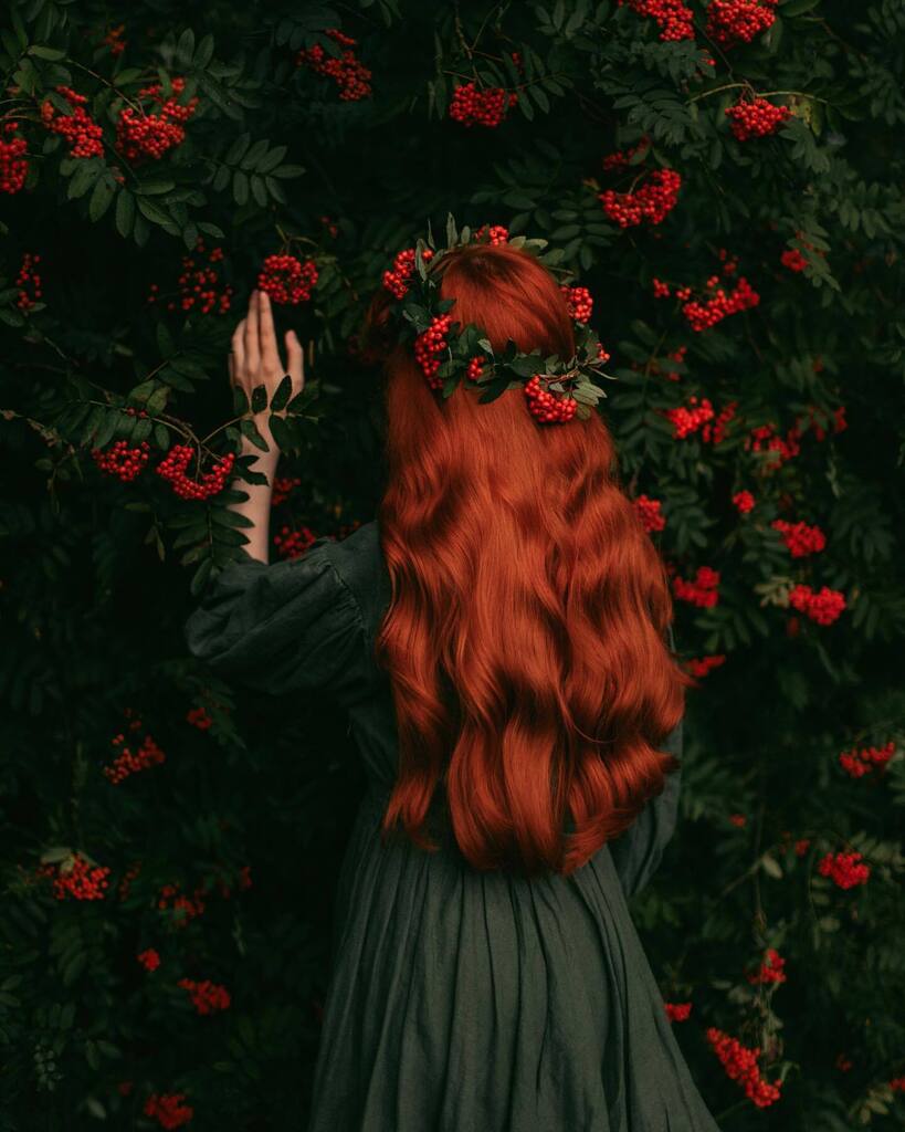 aclotheshorse's tweet photo. “On the motionless branches of some trees, autumn berries hung like clusters of coral beads, as in those fabled orchards where the fruits were jewels…” Charles Dickens🍂 edited with my Dark Cottagecore Pack #cottagecore #darkcottagecore #darknaturalism #cottagefairy #cottagec… https://t.co/ohs85kl2Wn