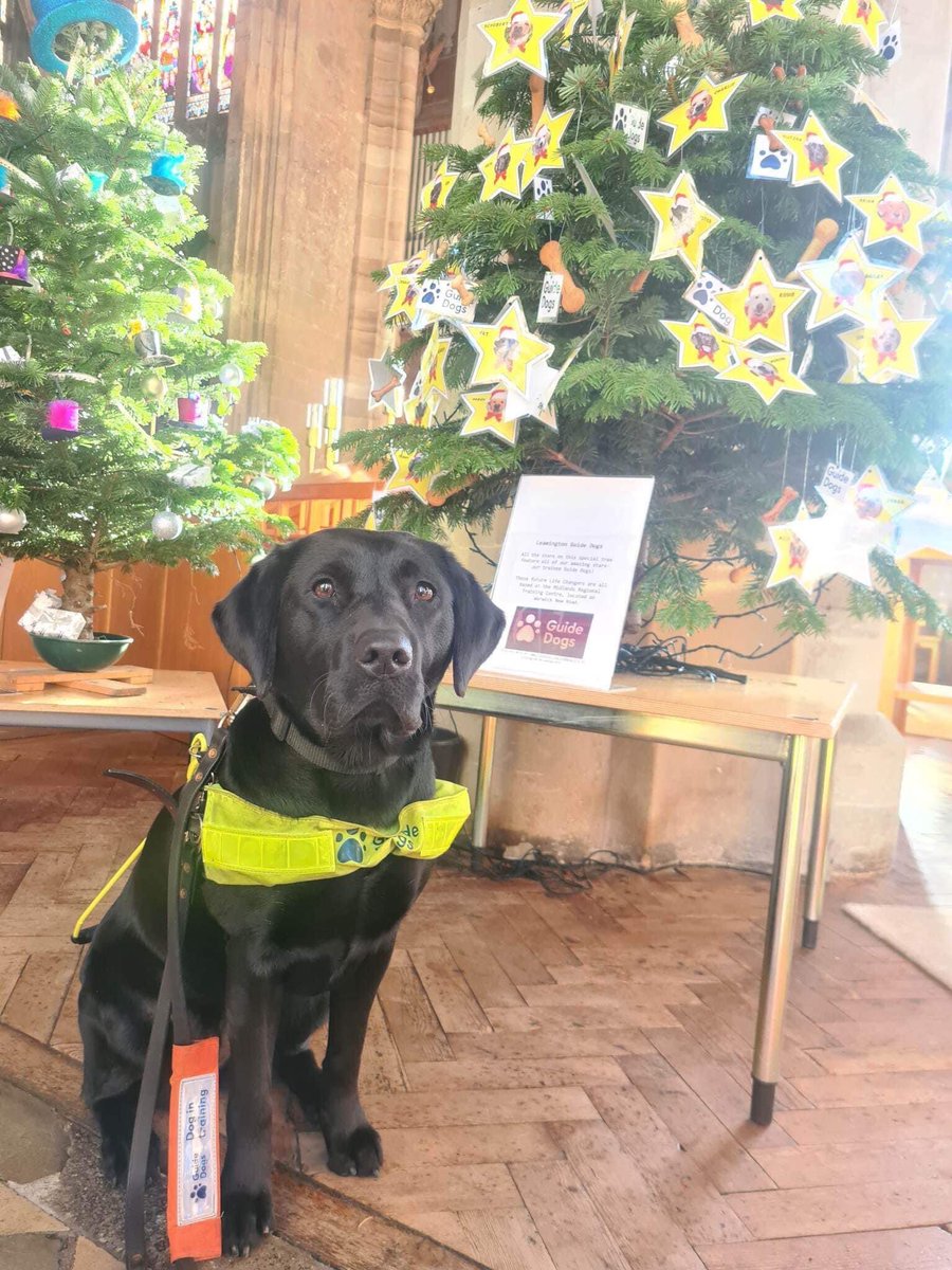 LeamingtonDogCare tweet media