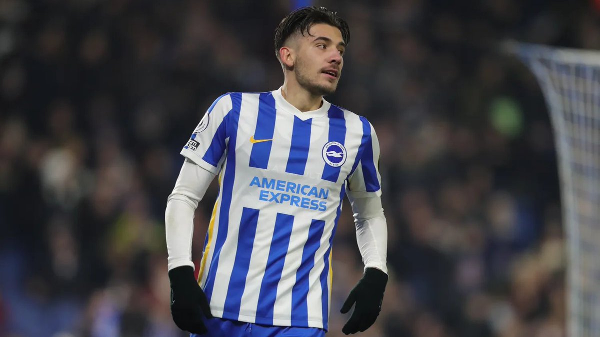 Brighton Polska tweet media