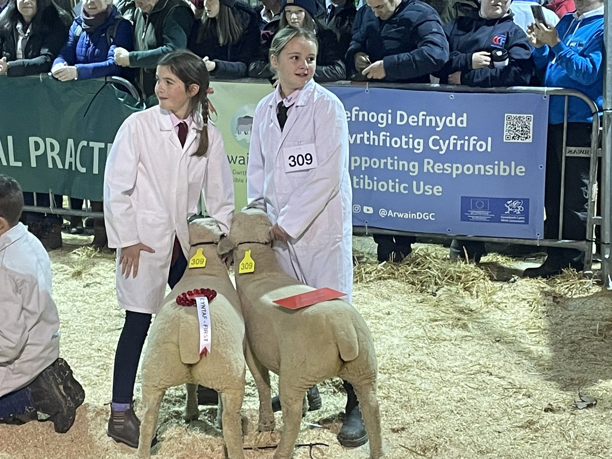 Could not be prouder of the junior shepherdess today. Champion sheep young handler <a href="/royalwelshshow/">Royal Welsh Agricultural Society</a> winter fair. I’m off in to retirement and leaving her to it!