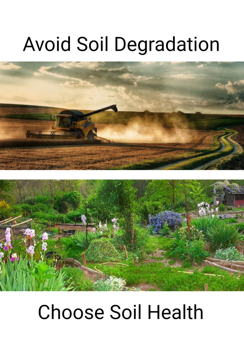 BasilLivanos's tweet photo. #permaculture #nomoremonoculture #gonatural #permanentagriculture #saveoursoils #saveourlocalfarmers #protectwildlife #biodiversity #Microorganisms #PerfectWorld #greenplanet #stopmassconsumption #bemindful #TakeAction #checkyoursource #yourshoppingcounts #beAware #choosewisely https://t.co/wVAUJ5nf4D