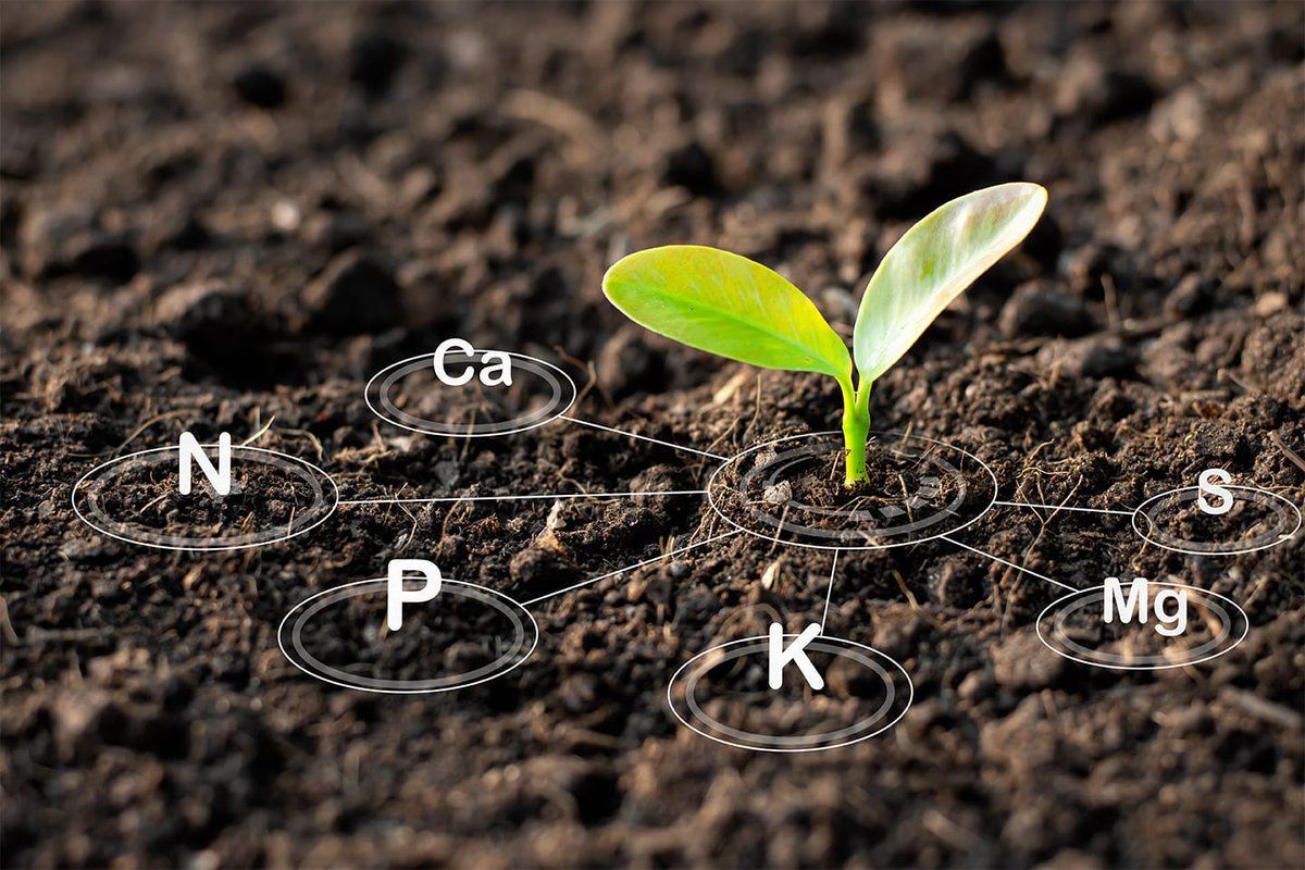 BasilLivanos's tweet photo. #permaculture #nomoremonoculture #gonatural #permanentagriculture #saveoursoils #saveourlocalfarmers #protectwildlife #biodiversity #Microorganisms #PerfectWorld #greenplanet #stopmassconsumption #bemindful #TakeAction #checkyoursource #yourshoppingcounts #beAware #choosewisely https://t.co/wVAUJ5nf4D