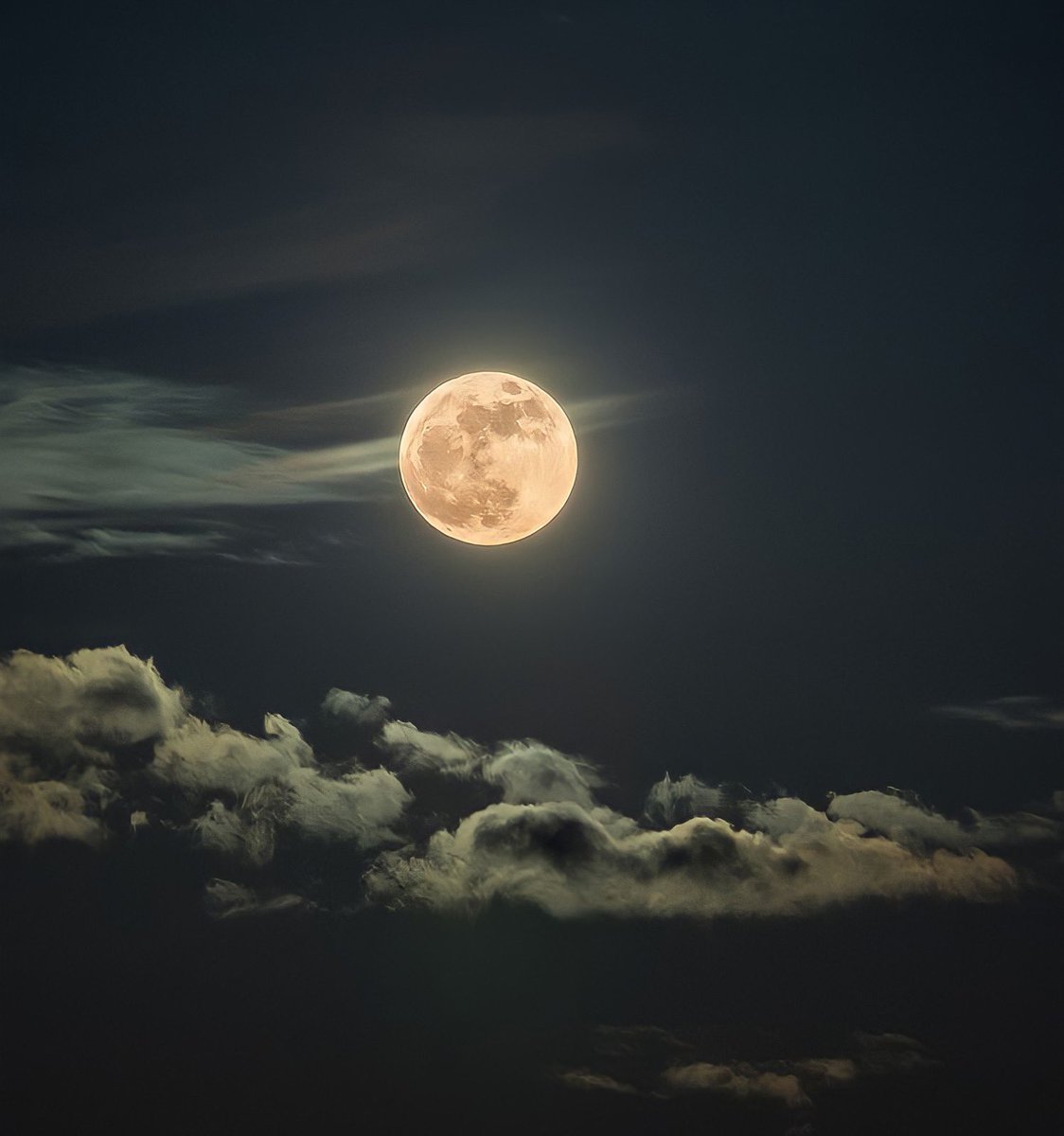 moonloverxjpg's tweet photo. moon lover https://t.co/lvEXDIGwhl
