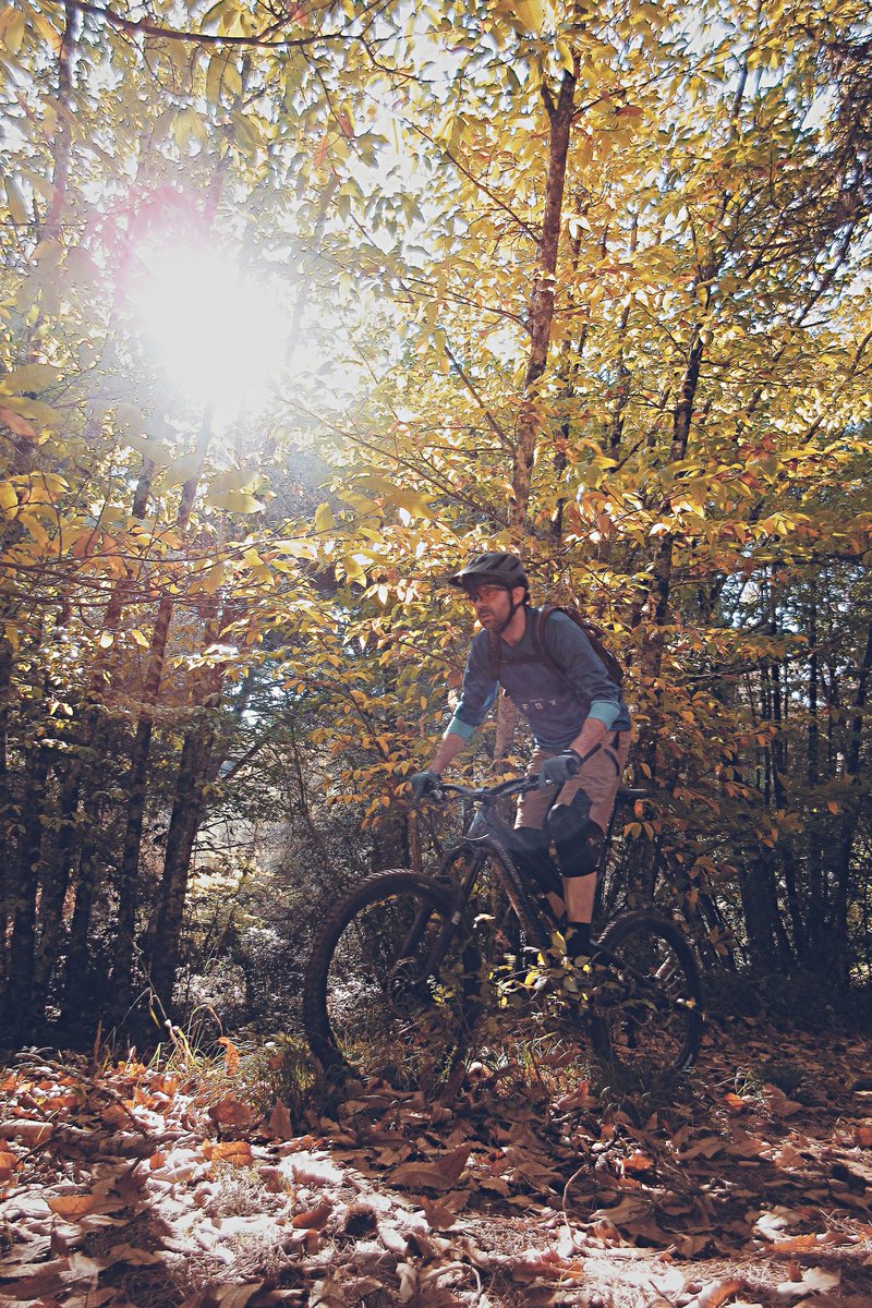 Sir_Arthur4ever's tweet photo. Gold & Silver
#mtb #selfie #Autumn #fall #autumnleaves #sun #goldandsilver #lightbro https://t.co/uMUAqVR8c4