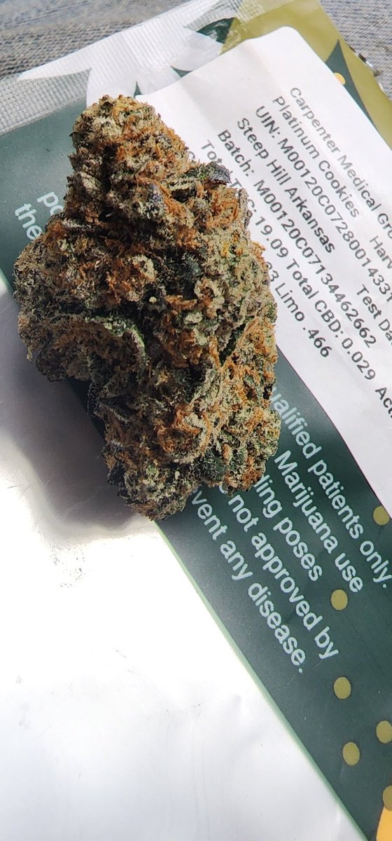 Kioti420's tweet photo. Platinum Cookies by Carpenter Farms is an amazing salute to this strain. It's a must try and a #keepit from us. The terps are coming in hot at 1.63% and some great minor cannabinoids like CBCA and CBG. A great medicine with heavy effects that brings relaxation and relief. https://t.co/t3gBd2JKng