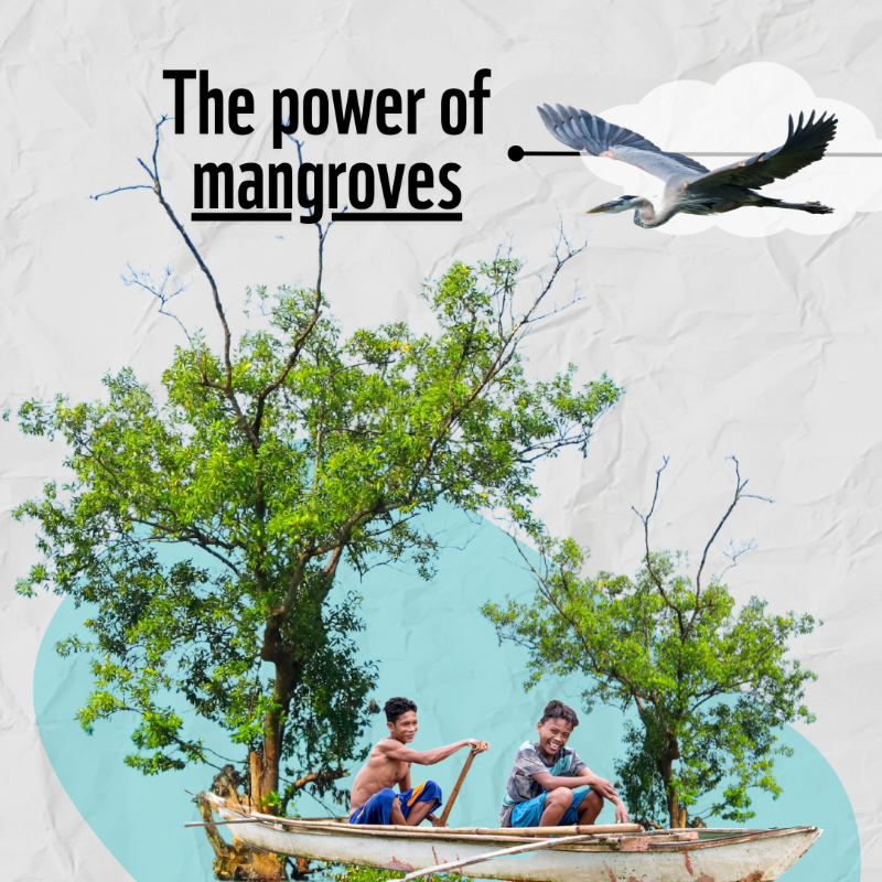 WWF's tweet photo. #DYK that mangroves are nature’s superheroes?! 🦸

They’re one of the world’s most threatened but valuable habitats. 

We need to restore and conserve our precious mangrove forests. 💚RT #ForALivingPlanet! #LivingPlanet #LPR2022