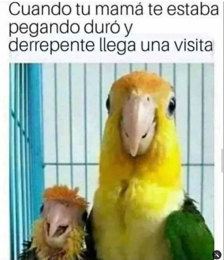 mik_kel2's tweet photo. #Meme https://t.co/Q0Ytwfk7rA