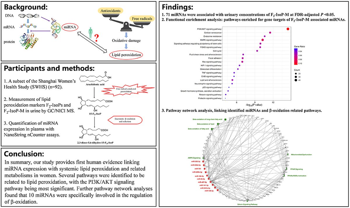 SFRBM's tweet photo. Want to know more about the association between lipid peroxidation biomarkers and microRNA expression profiles? Check out this #RedoxBiology article: https://t.co/9hg8e1F2OZ https://t.co/kM0Ogjrp0E