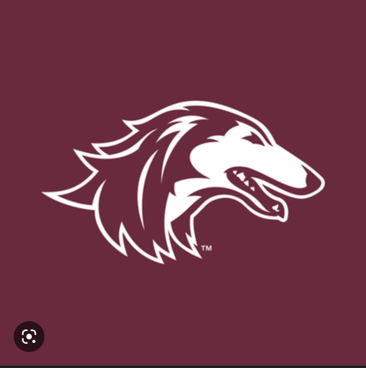 TheRealDaelin's tweet photo. God is great! After a great phone call with @CoachMarkWatson I am beyond blessed to say that I have received my first D1 scholarship from Southern Illinois University! Thanks to the coaching staff for believing in me. #Salukis #WeAreSouthernIllions https://t.co/neXQl9Bcx2