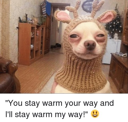Jim222001's tweet photo. #BizarreWaysToKeepWarm https://t.co/9n1Ovql5sz