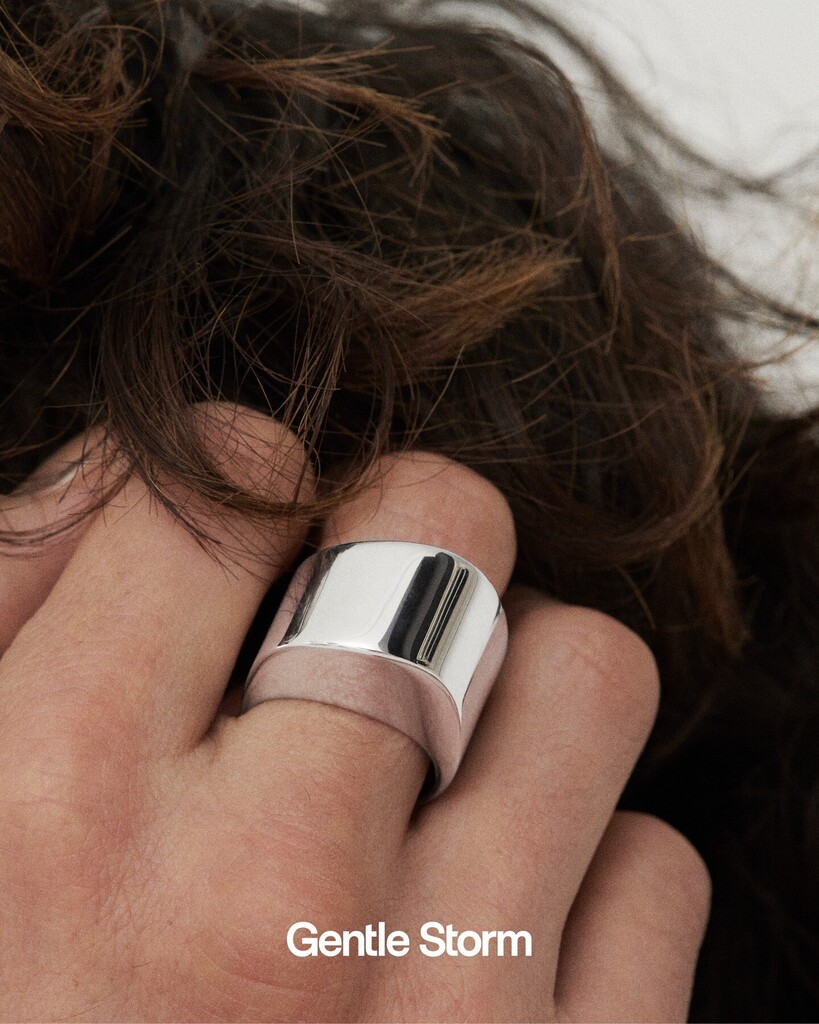 GENTLE STORM tweet media