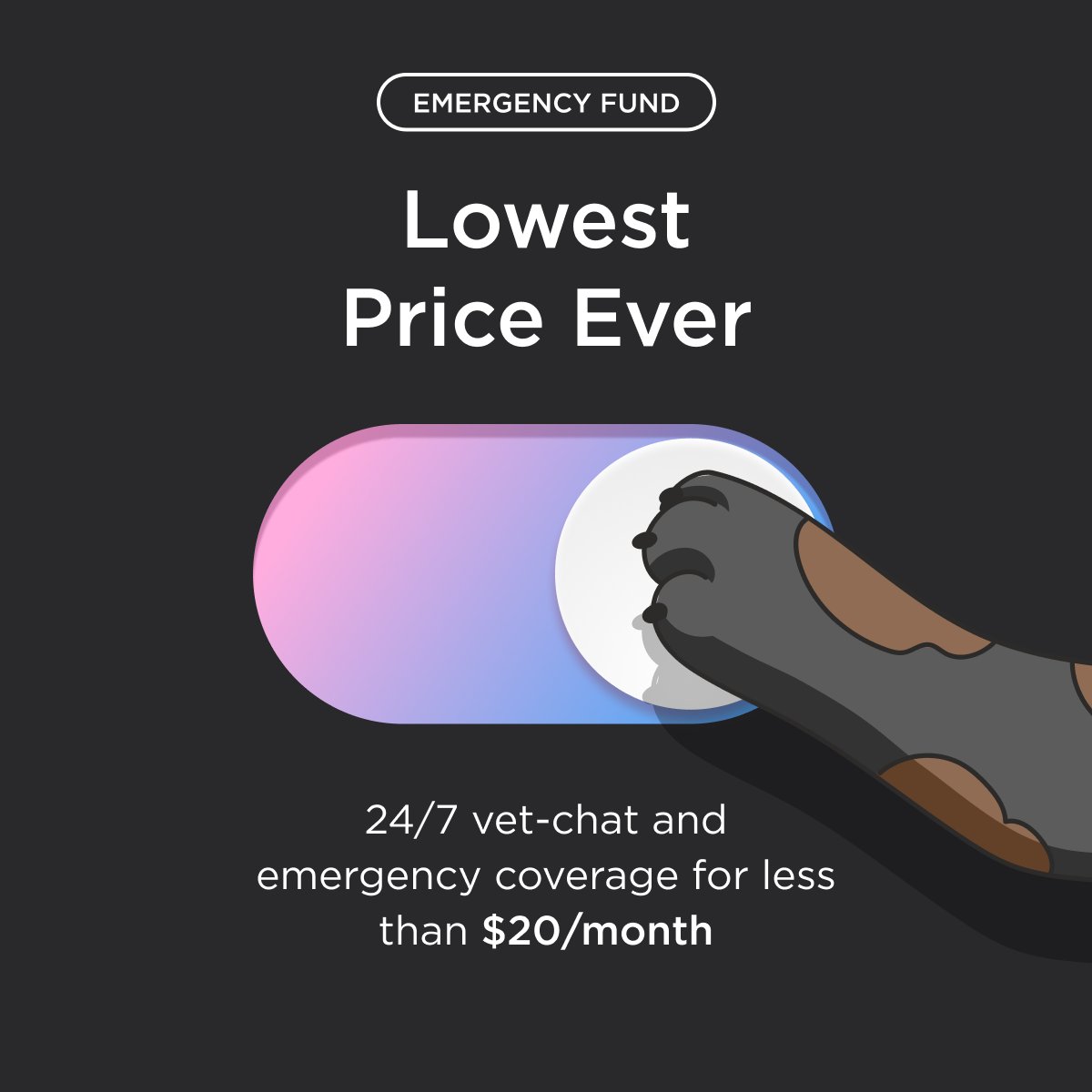 It's the last chance to get Emergency Fund by Petcube deal petcu.be/3U2JTRb