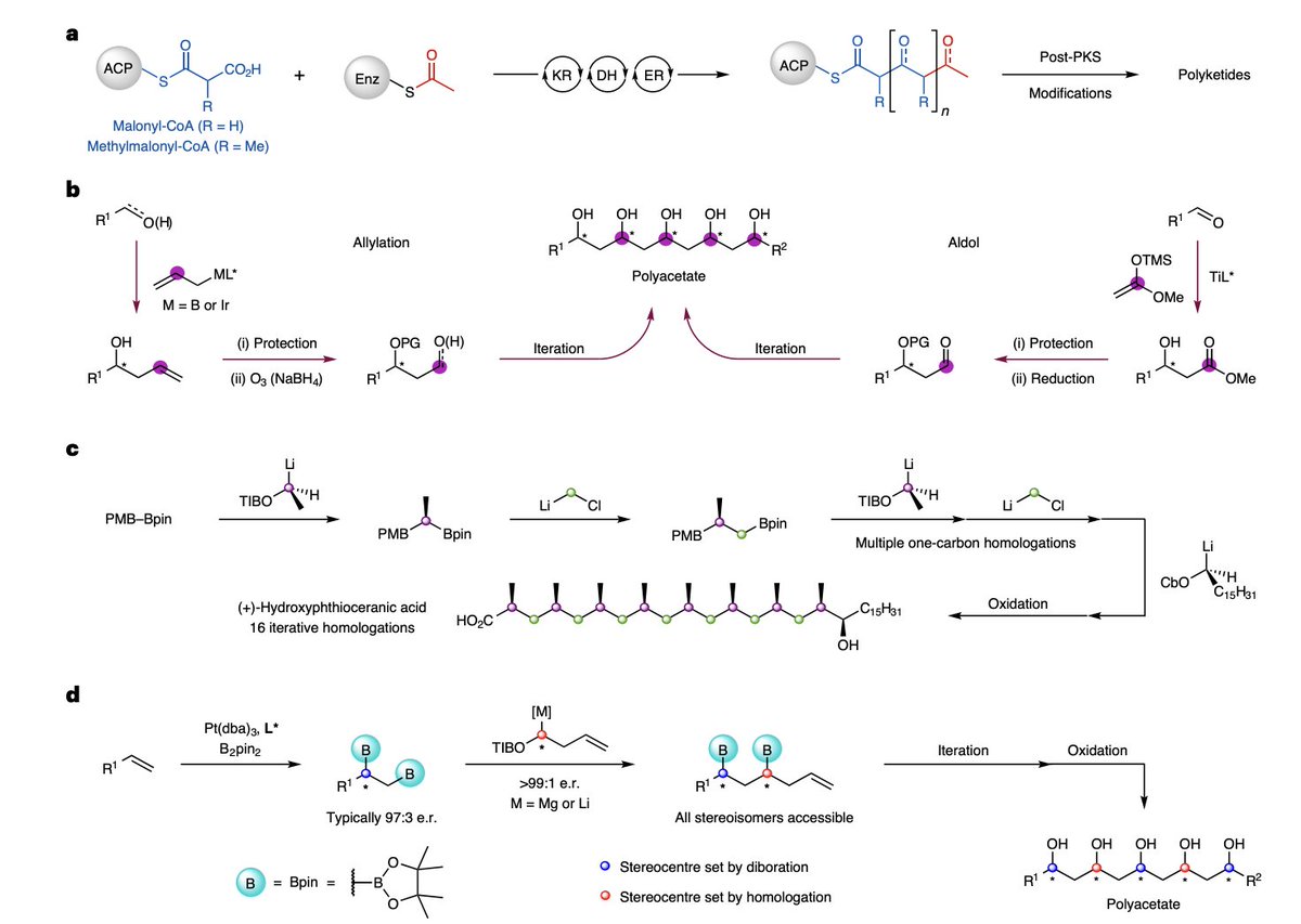 Total Synthesis tweet media
