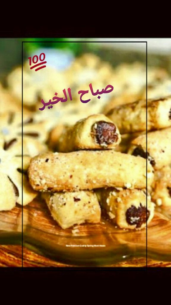 Samia Abdou (@samiaabdou3) on Twitter photo 