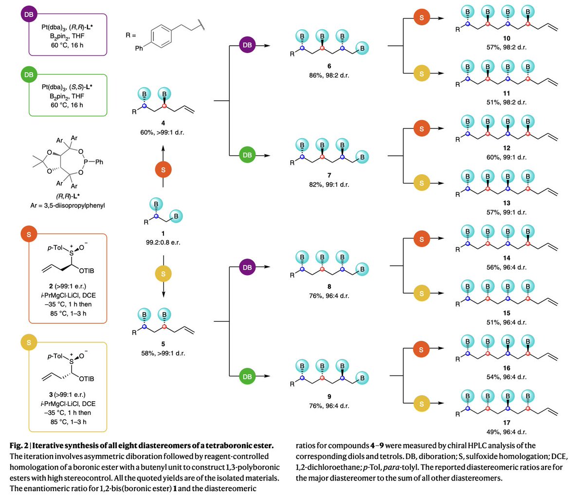 Total Synthesis tweet media