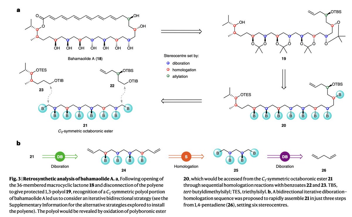 Total Synthesis tweet media
