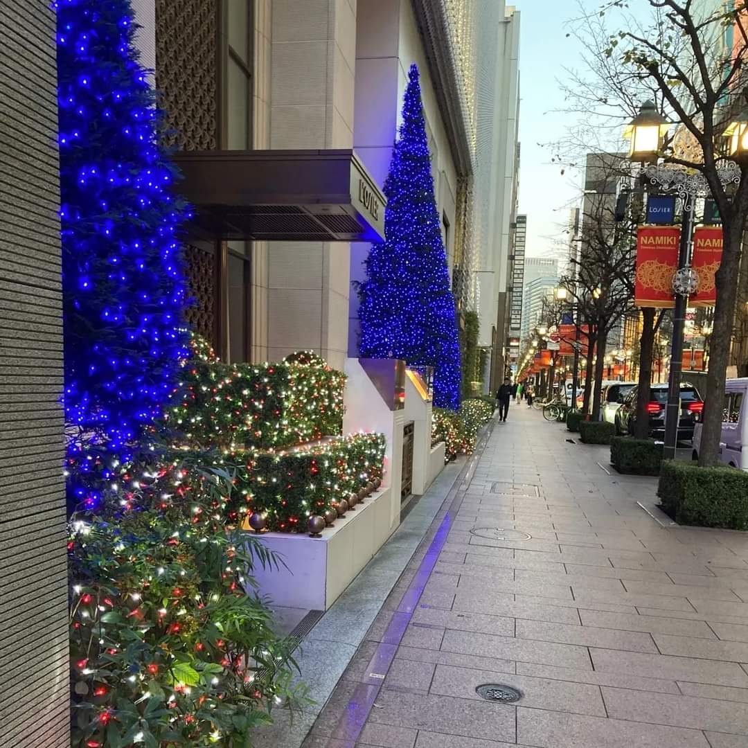 NoblePearl's tweet photo. #銀座 #並木通り の #冬の風物詩 #LOSIER さんの #クリスマスイルミネーション が点灯しました。
#ミシュラン #三つ星 の #フランス料理 #ロオジエ さんは #銀座並木通りの #イルミネーション とマッチして #幻想的 な雰囲気がとても #美しい ですよ。
#クリスマス #Xmas #Christmas #Illumination https://t.co/YsCjs8ffcs