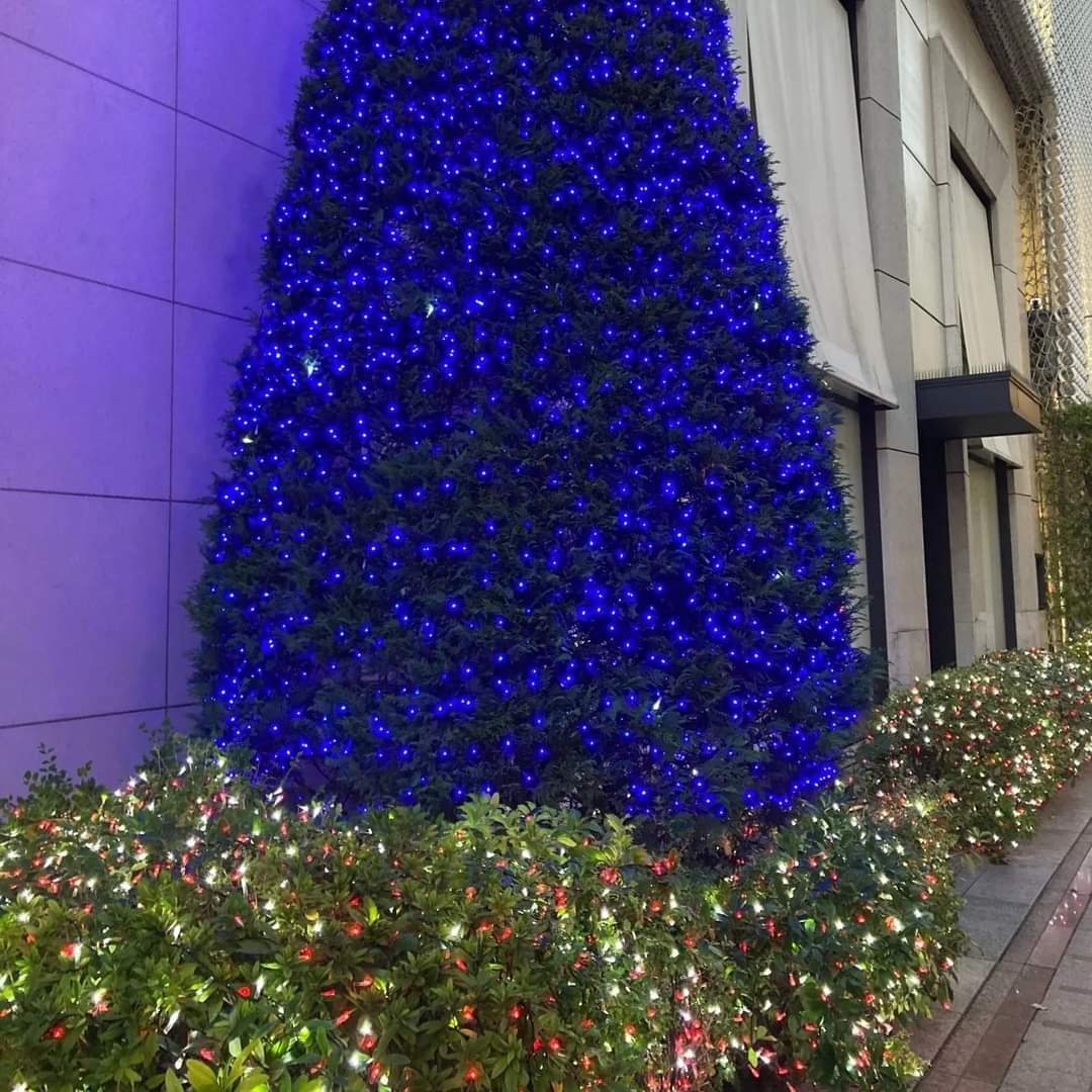 NoblePearl's tweet photo. #銀座 #並木通り の #冬の風物詩 #LOSIER さんの #クリスマスイルミネーション が点灯しました。
#ミシュラン #三つ星 の #フランス料理 #ロオジエ さんは #銀座並木通りの #イルミネーション とマッチして #幻想的 な雰囲気がとても #美しい ですよ。
#クリスマス #Xmas #Christmas #Illumination https://t.co/YsCjs8ffcs