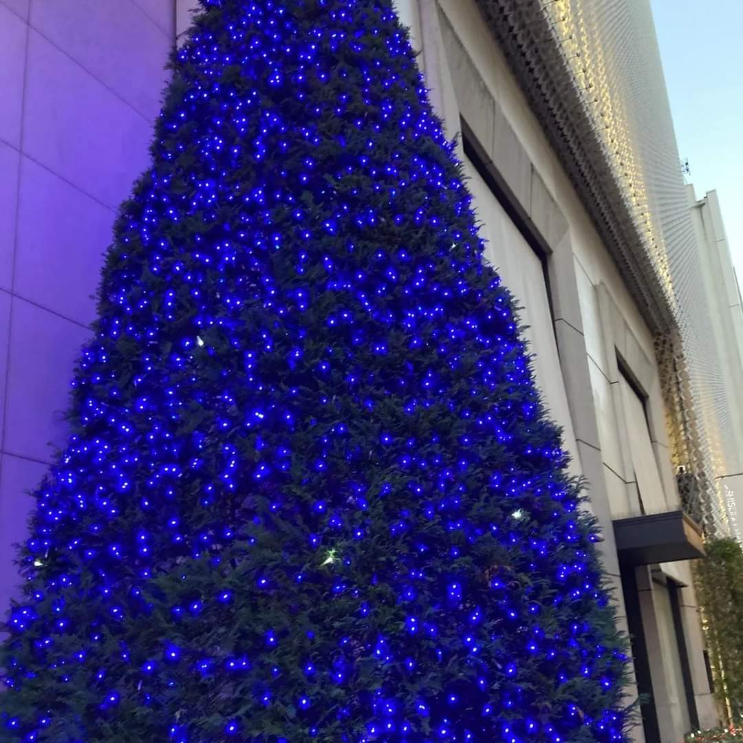 NoblePearl's tweet photo. #銀座 #並木通り の #冬の風物詩 #LOSIER さんの #クリスマスイルミネーション が点灯しました。
#ミシュラン #三つ星 の #フランス料理 #ロオジエ さんは #銀座並木通りの #イルミネーション とマッチして #幻想的 な雰囲気がとても #美しい ですよ。
#クリスマス #Xmas #Christmas #Illumination https://t.co/YsCjs8ffcs