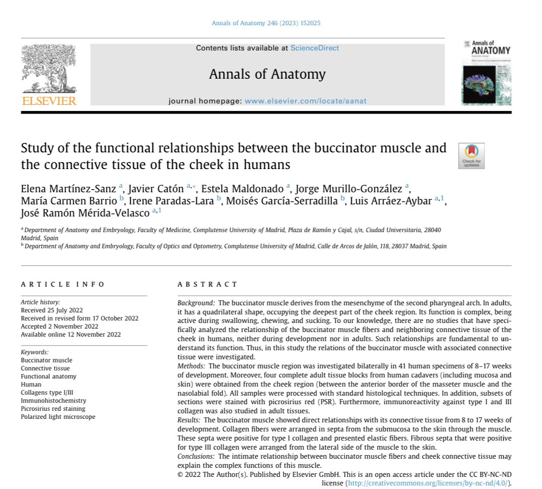 Zrgz2020's tweet photo. The #Complutense #Research #team on #craniofacialdevelopment, has published a new study analysing the interrelationships between the #buccinator muscle (the main muscle of the cheek) and the connective tissue that surrounds it. https://t.co/EjNOeBQkkS https://t.co/FY8LkeKkXA