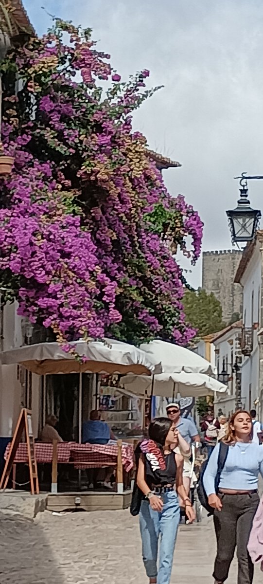 Welcome new FB followers
facebook.com/photo/?fbid=60…
#charity #nonprofit #donate #love #community #fundraising #support #help #volunteer #giveback #donation #fundraiser #dogood #socialgood #givingback #donations #hope #instagood #change #family #makeadifference #life #OBIDOS #EspaçoO