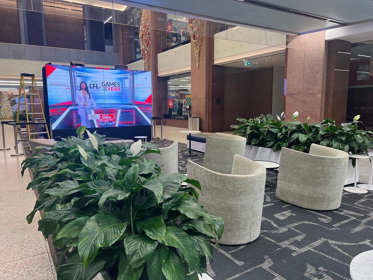 Beaverlands's tweet photo. Interior holiday plantings @myscotiaplaza 🎄🌺 https://t.co/Y99S2oJGbd