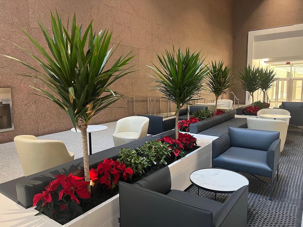 Beaverlands's tweet photo. Interior holiday plantings @myscotiaplaza 🎄🌺 https://t.co/Y99S2oJGbd