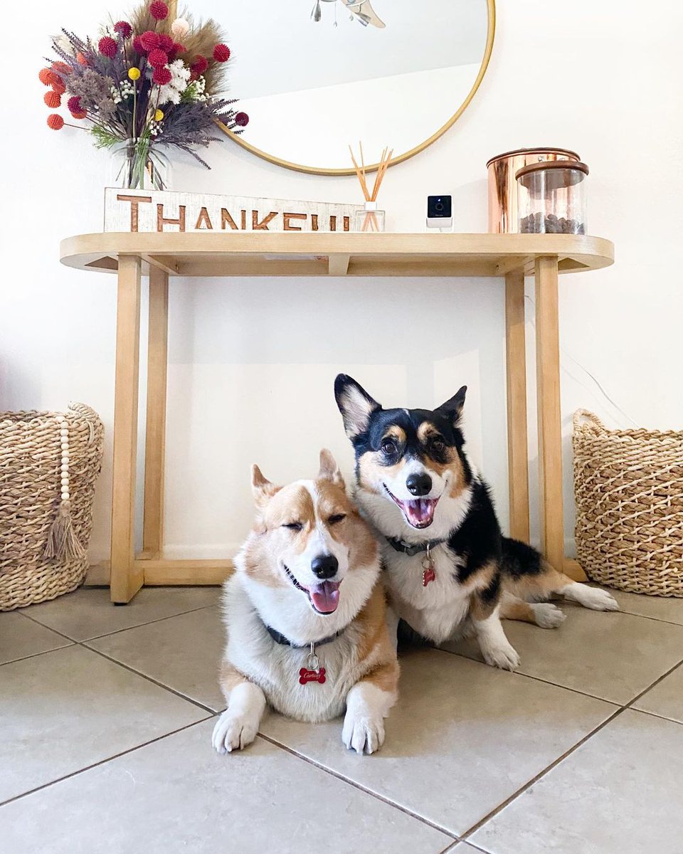 The perfect gift for a pet parent exists 😉-&gt; petcu.be/specials