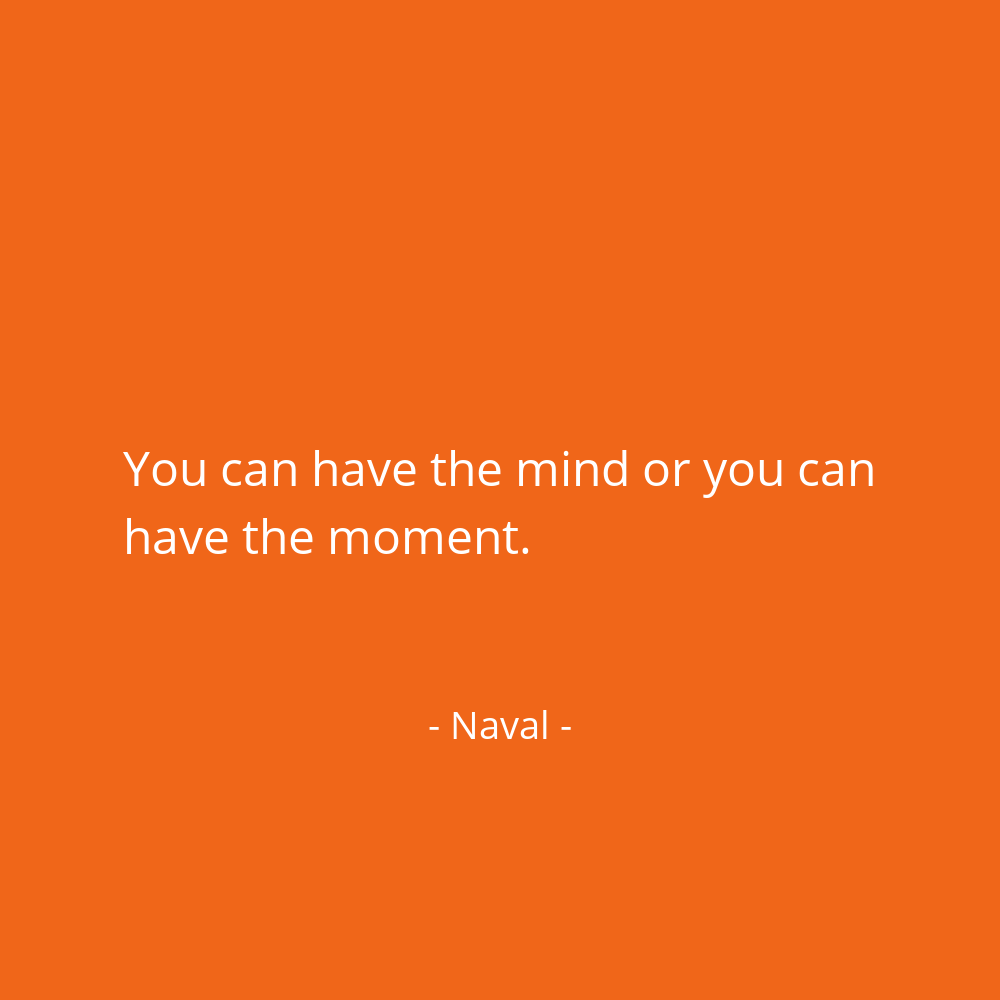 navalboard's tweet photo. You can have the mind or you can have the moment. @naval https://t.co/HveSWavR6z