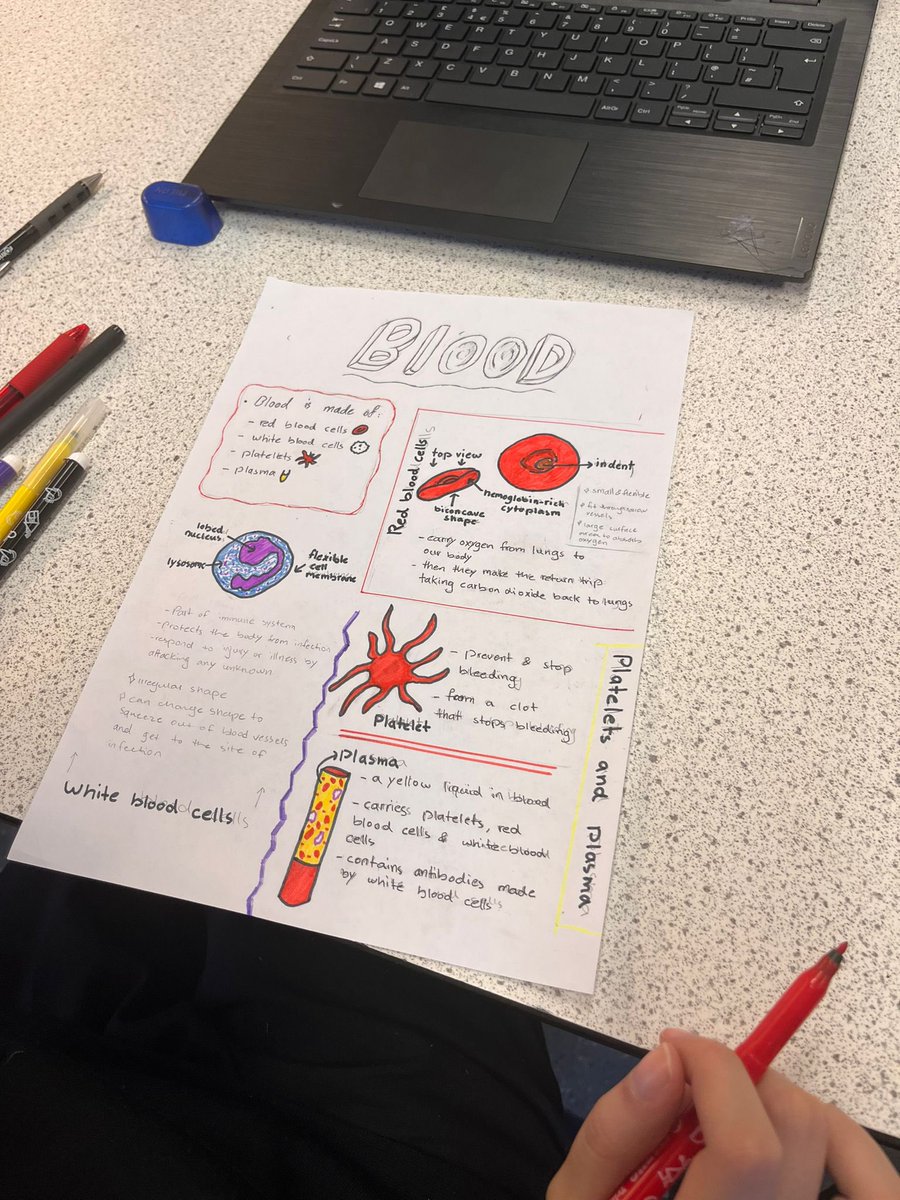 MCS_science's tweet photo. Mrs Beck’s 10D1 Biology class completed some fantastic research showing the different components of blood today! Da iawn blwyddyn 10, very creative! https://t.co/dB1Uw3ZuY8