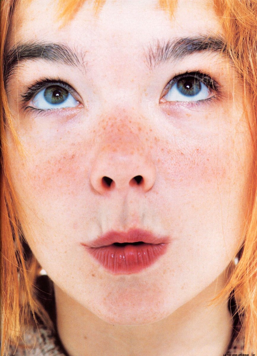 Björk for i-D Magazine n°154 Photographed By: Lorenzo Agius (1996)